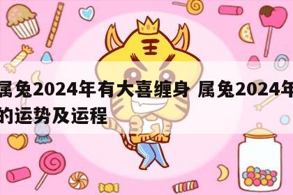 属兔2024年有大喜缠身 属兔2024年的运势及运程