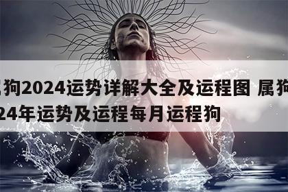 属狗2024运势详解大全及运程图 属狗2024年运势及运程每月运程狗