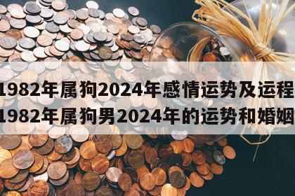 1982年属狗2024年感情运势及运程 1982年属狗男2024年的运势和婚姻