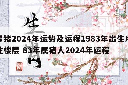 属猪2024年运势及运程1983年出生所住楼层 83年属猪人2024年运程