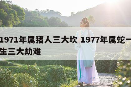1971年属猪人三大坎 1977年属蛇一生三大劫难
