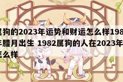 属狗的2023年运势和财运怎么样1982年腊月出生 1982属狗的人在2023年怎么样