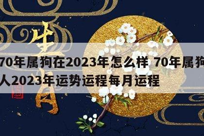 70年属狗在2023年怎么样 70年属狗人2023年运势运程每月运程