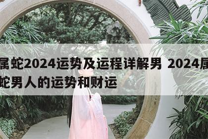 属蛇2024运势及运程详解男 2024属蛇男人的运势和财运