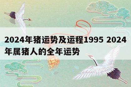 2024年猪运势及运程1995 2024年属猪人的全年运势