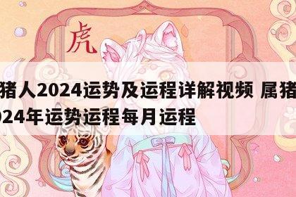 属猪人2024运势及运程详解视频 属猪人2024年运势运程每月运程