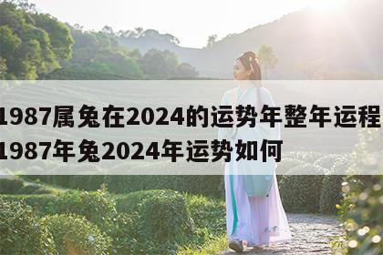 1987属兔在2024的运势年整年运程 1987年兔2024年运势如何