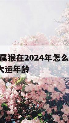 1980年属猴在2024年怎么样 80年属猴转大运年龄