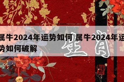 属牛2024年运势如何 属牛2024年运势如何破解