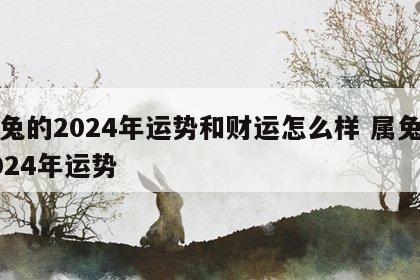 属兔的2024年运势和财运怎么样 属兔的2024年运势