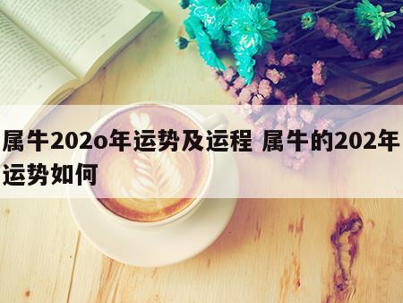 属牛202o年运势及运程 属牛的202年运势如何