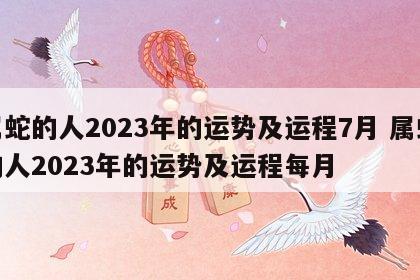 属蛇的人2023年的运势及运程7月 属蛇的人2023年的运势及运程每月