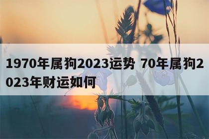 1970年属狗2023运势 70年属狗2023年财运如何