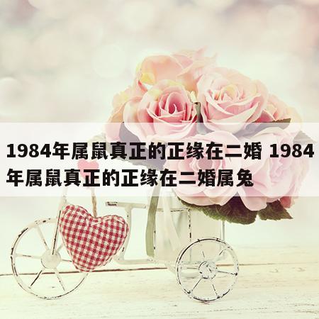 1984年属鼠真正的正缘在二婚 1984年属鼠真正的正缘在二婚属兔
