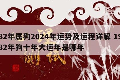 82年属狗2024年运势及运程详解 1982年狗十年大运年是哪年