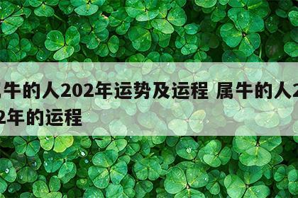 属牛的人202年运势及运程 属牛的人2022年的运程