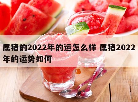 属猪的2022年的运怎么样 属猪2022年的运势如何