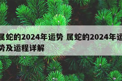 属蛇的2024年运势 属蛇的2024年运势及运程详解