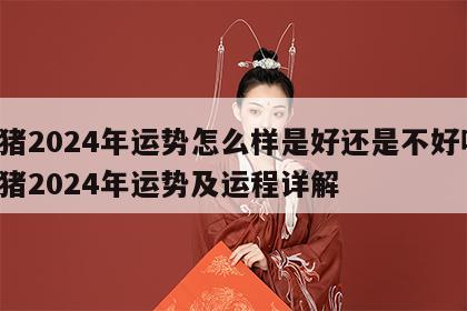 属猪2024年运势怎么样是好还是不好呢 属猪2024年运势及运程详解
