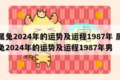 属兔2024年的运势及运程1987年 属兔2024年的运势及运程1987年男