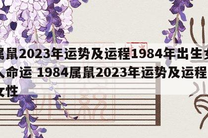 属鼠2023年运势及运程1984年出生女人命运 1984属鼠2023年运势及运程女性
