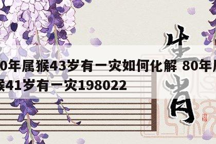 80年属猴43岁有一灾如何化解 80年属猴41岁有一灾198022