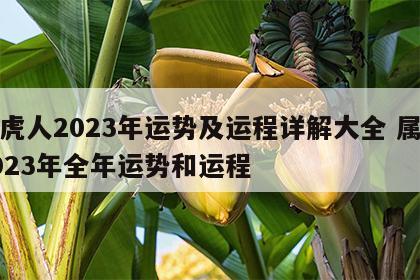 属虎人2023年运势及运程详解大全 属虎2023年全年运势和运程