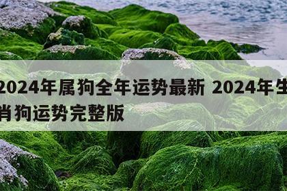2024年属狗全年运势最新 2024年生肖狗运势完整版