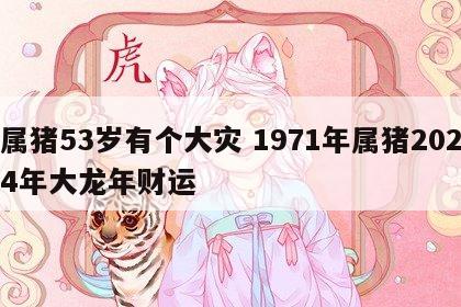 属猪53岁有个大灾 1971年属猪2024年大龙年财运