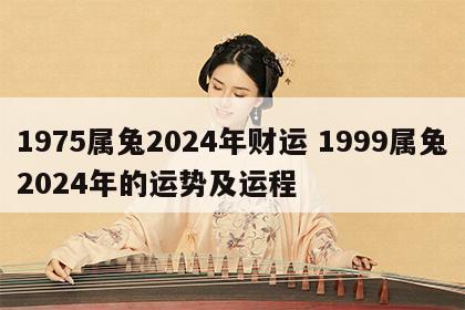 1975属兔2024年财运 1999属兔2024年的运势及运程