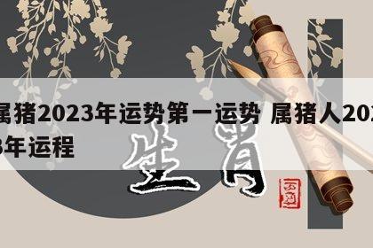 属猪2023年运势第一运势 属猪人2023年运程