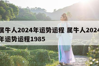 属牛人2024年运势运程 属牛人2024年运势运程1985