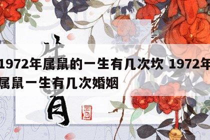 1972年属鼠的一生有几次坎 1972年属鼠一生有几次婚姻