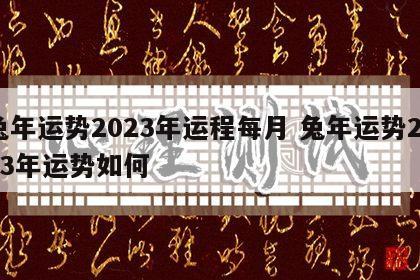 兔年运势2023年运程每月 兔年运势2023年运势如何