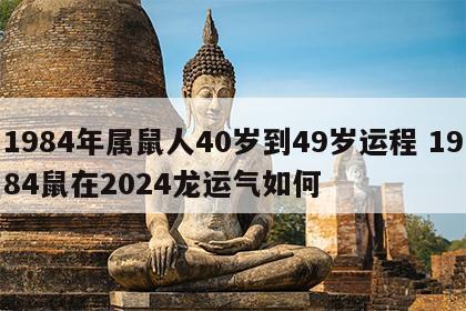 1984年属鼠人40岁到49岁运程 1984鼠在2024龙运气如何