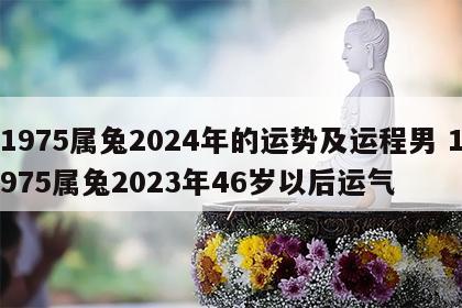 1975属兔2024年的运势及运程男 1975属兔2023年46岁以后运气