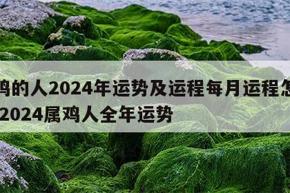 属鸡的人2024年运势及运程每月运程怎么样 2024属鸡人全年运势