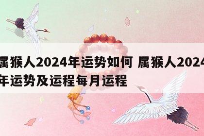 属猴人2024年运势如何 属猴人2024年运势及运程每月运程
