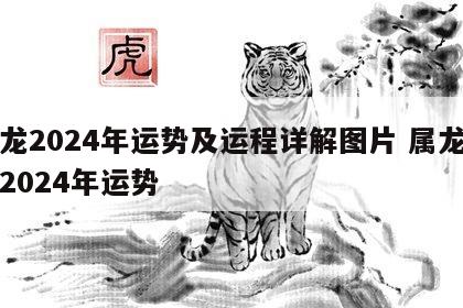 属龙2024年运势及运程详解图片 属龙的人2024年运势