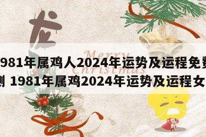 1981年属鸡人2024年运势及运程免费测 1981年属鸡2024年运势及运程女