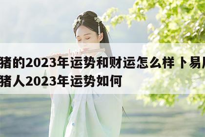 属猪的2023年运势和财运怎么样卜易居 属猪人2023年运势如何