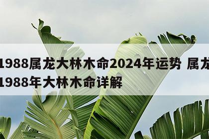 1988属龙大林木命2024年运势 属龙1988年大林木命详解