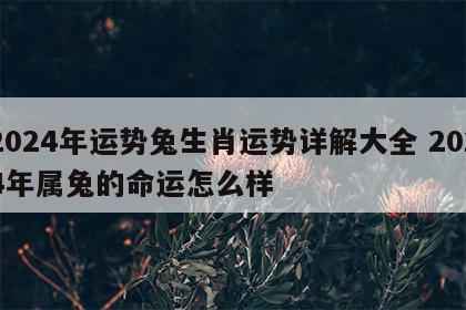 2024年运势兔生肖运势详解大全 2024年属兔的命运怎么样