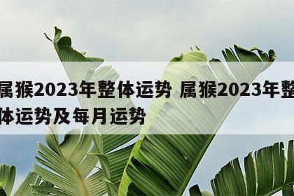 属猴2023年整体运势 属猴2023年整体运势及每月运势