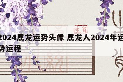 2024属龙运势头像 属龙人2024年运势运程