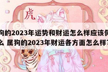 属狗的2023年运势和财运怎么样应该佩戴什么 属狗的2023年财运各方面怎么样?
