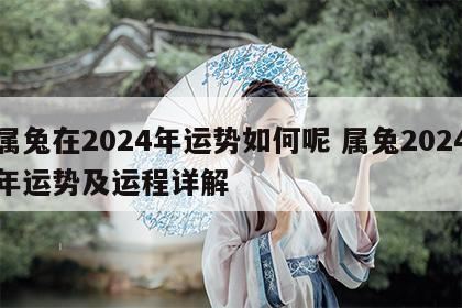 属兔在2024年运势如何呢 属兔2024年运势及运程详解