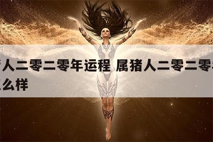 属猪人二零二零年运程 属猪人二零二零年运程怎么样