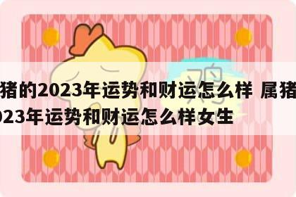 属猪的2023年运势和财运怎么样 属猪的2023年运势和财运怎么样女生