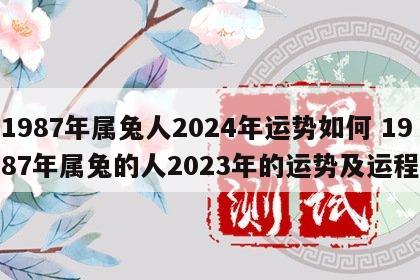 1987年属兔人2024年运势如何 1987年属兔的人2023年的运势及运程